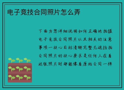 电子竞技合同照片怎么弄